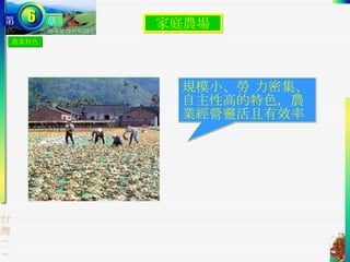 家庭農場 農業特色 規模小、勞 力密集、自主性高的特色，農業經營靈活且有效率 
