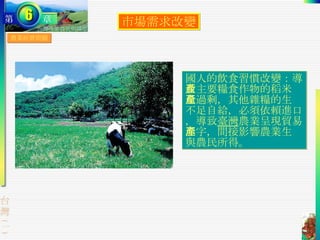 農業經營問題 市場需求改變 國人的飲食習慣改變：導致主要糧食作物的稻米產量過剩，其他雜糧的生產不足自給，必須依賴進口，導致 臺灣 農業呈現貿易赤字，間接影響農業生產與農民所得。 