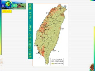 農業轉型 臺灣  1976 ∼ 2005  年消失的稻田面積 