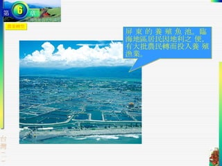 農業轉型 屏 東 的 養 殖 魚 池。臨海地區居民因地利之 便，有大批農民轉而投入養 殖漁業。  