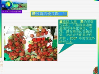 研發新的優良農產品 加入 WTO 的因應策略 高雄縣 大樹鄉 產的玉荷包荔枝，不僅發展適地適性的科學化栽培、管理，還有精美的分級包裝，並結合宅配業者作銷售； 2007  年更首度外銷至 日本 。 