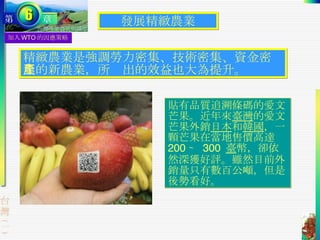 加入 WTO 的因應策略 發展精緻農業 精緻農業是強調勞力密集、技術密集、資金密集的新農業，所產出的效益也大為提升。 貼有品質追溯條碼的愛文芒果。近年來 臺灣 的愛文芒果外銷 日本 和 韓國 ，一顆芒果在當地售價高達  200  ∼  300  臺 幣，卻依然深獲好評。雖然目前外銷量只有數百公噸，但是後勢看好。 