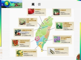 築巢營 
