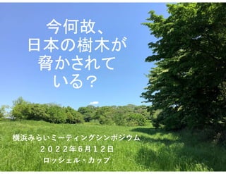 今何故、
日本の樹木が
脅かされて
いる？
横浜みらいミーティングシンポジウム
２０２２年６月１２日
ロッシェル・カップ
 