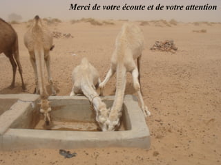 Merci de votre écoute et de votre attention
 