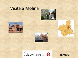 Visita a Molina
Tarea 6
 