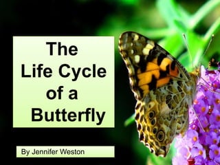 The
Life Cycle
of a
Butterfly
By Jennifer Weston
 