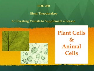 Plant Cells
&
Animal
Cells
EDU 280
Eleni Theodorakos
6.1 Creating Visuals to Supplement a Lesson
 