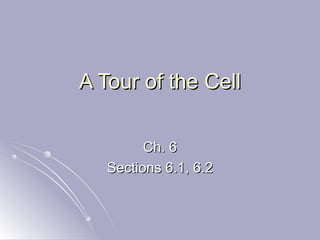 A Tour of the CellA Tour of the Cell
Ch. 6Ch. 6
Sections 6.1, 6.2Sections 6.1, 6.2
 