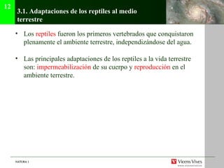 NATURA 1NATURA 1
3.1. Adaptaciones de los reptiles al medio
terrestre
• Los reptiles fueron los primeros vertebrados que conquistaron
plenamente el ambiente terrestre, independizándose del agua.
• Las principales adaptaciones de los reptiles a la vida terrestre
son: impermeabilización de su cuerpo y reproducción en el
ambiente terrestre.
12
 