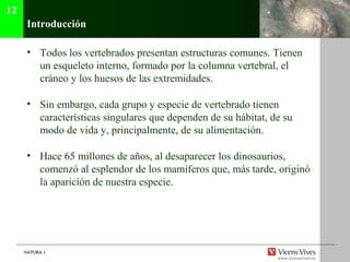 NATURA 1NATURA 1
Introducción
• Todos los vertebrados presentan estructuras comunes. Tienen
un esqueleto interno, formado por la columna vertebral, el
cráneo y los huesos de las extremidades.
• Sin embargo, cada grupo y especie de vertebrado tienen
características singulares que dependen de su hábitat, de su
modo de vida y, principalmente, de su alimentación.
• Hace 65 millones de años, al desaparecer los dinosaurios,
comenzó al esplendor de los mamíferos que, más tarde, originó
la aparición de nuestra especie.
12
 