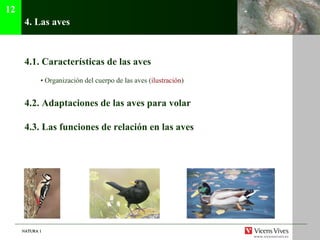 NATURA 1NATURA 1
4. Las aves
4.1. Características de las aves
• Organización del cuerpo de las aves (ilustración)
4.2. Adaptaciones de las aves para volar
4.3. Las funciones de relación en las aves
12
 