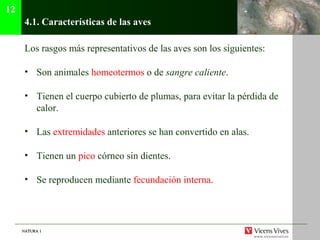NATURA 1NATURA 1
4.1. Características de las aves
Los rasgos más representativos de las aves son los siguientes:
• Son animales homeotermos o de sangre caliente.
• Tienen el cuerpo cubierto de plumas, para evitar la pérdida de
calor.
• Las extremidades anteriores se han convertido en alas.
• Tienen un pico córneo sin dientes.
• Se reproducen mediante fecundación interna.
12
 