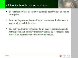 NATURA 1NATURA 1
4.3. Las funciones de relación en las aves
• El sistema nervioso de las aves está más desarrollado que el de
los reptiles.
• Entre los órganos de los sentidos, el más desarrollado en estos
vertebrados es el de la vista.
• Las actividades más conocidas de las aves relacionadas con la
reproducción son los movimientos y cantos de los machos para
atraer a las hembras o la construcción de nidos.
12
 