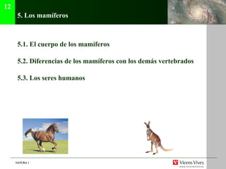 NATURA 1NATURA 1
5. Los mamíferos
5.1. El cuerpo de los mamíferos
5.2. Diferencias de los mamíferos con los demás vertebrados
5.3. Los seres humanos
12
 