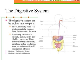 The Digestive System
 The digestive system can
be broken into two parts:
 The Alimentary canal – a
continuous tube running
from the mouth to the anus
 Accessory structures –
salivary glands, liver, gall
bladder, pancreas. These
are outside the alimentary
canal and either produce or
store secretions which aid
in digestion of food.
 Handout - The Digestive System
 Handout – Structure and Function
 
