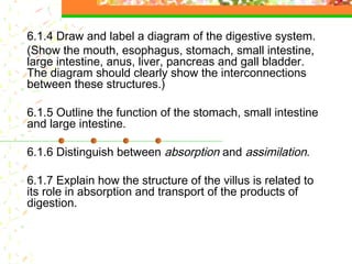 6.1.4 Draw and label a diagram of the digestive system.
(Show the mouth, esophagus, stomach, small intestine,
large intestine, anus, liver, pancreas and gall bladder.
The diagram should clearly show the interconnections
between these structures.)
6.1.5 Outline the function of the stomach, small intestine
and large intestine.
6.1.6 Distinguish between absorption and assimilation.
6.1.7 Explain how the structure of the villus is related to
its role in absorption and transport of the products of
digestion.
 