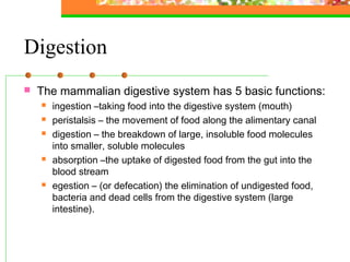 Digestion
 The mammalian digestive system has 5 basic functions:
 ingestion –taking food into the digestive system (mouth)
 peristalsis – the movement of food along the alimentary canal
 digestion – the breakdown of large, insoluble food molecules
into smaller, soluble molecules
 absorption –the uptake of digested food from the gut into the
blood stream
 egestion – (or defecation) the elimination of undigested food,
bacteria and dead cells from the digestive system (large
intestine).
 