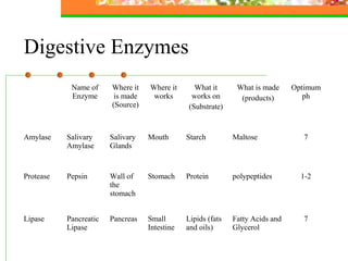 Digestive Enzymes
Name of
Enzyme
Where it
is made
(Source)
Where it
works
What it
works on
(Substrate)
What is made
(products)
Optimum
ph
Amylase Salivary
Amylase
Salivary
Glands
Mouth Starch Maltose 7
Protease Pepsin Wall of
the
stomach
Stomach Protein polypeptides 1-2
Lipase Pancreatic
Lipase
Pancreas Small
Intestine
Lipids (fats
and oils)
Fatty Acids and
Glycerol
7
 