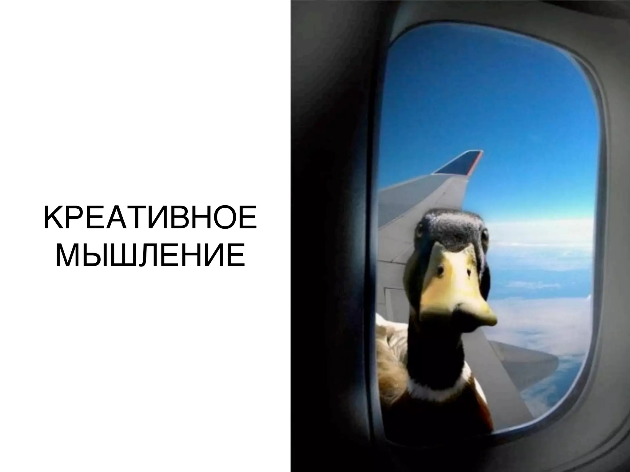 КРЕАТИВНОЕ
МЫШЛЕНИЕ
 