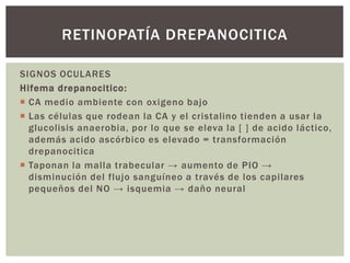 SIGNOS OCULARES
Hifema drepanocitico:
 CA medio ambiente con oxigeno bajo
 Las células que rodean la CA y el cristalino tienden a usar la
glucolisis anaerobia, por lo que se eleva la [ ] de acido láctico,
además acido ascórbico es elevado = transformación
drepanocitica
 Taponan la malla trabecular → aumento de PIO →
disminución del flujo sanguíneo a través de los capilares
pequeños del NO → isquemia → daño neural
RETINOPATÍA DREPANOCITICA
 