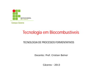 TECNOLOGIA DE PROCESSOS FERMENTATIVOS
Docente: Prof. Cristian Bolner
Cáceres - 2013
Tecnologia em Biocombustíveis
 