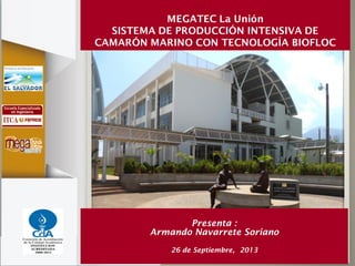 Presenta :
Armando Navarrete Soriano
26 de Septiembre, 2013
MEGATEC La Unión
SISTEMA DE PRODUCCIÓN INTENSIVA DE
CAMARÓN MARINO CON TECNOLOGÍA BIOFLOC
 
