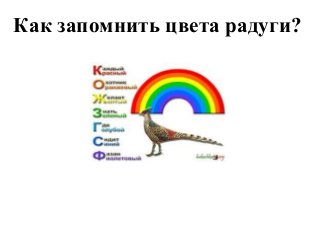 Как запомнить цвета радуги?
 