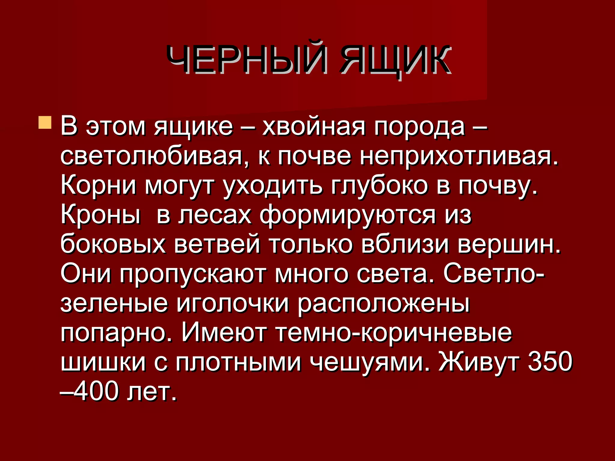 ЧЕРНЫЙ ЯЩИКЧЕРНЫЙ ЯЩИК
 В этом ящике – хвойная порода –В этом ящике – хвойная порода –
светолюбивая, к почве неприхотливая.светолюбивая, к почве неприхотливая.
Корни могут уходить глубоко в почву.Корни могут уходить глубоко в почву.
Кроны в лесах формируются изКроны в лесах формируются из
боковых ветвей только вблизи вершин.боковых ветвей только вблизи вершин.
Они пропускают много света. Светло-Они пропускают много света. Светло-
зеленые иголочки расположенызеленые иголочки расположены
попарно. Имеют темно-коричневыепопарно. Имеют темно-коричневые
шишки с плотными чешуями. Живут 350шишки с плотными чешуями. Живут 350
–400 лет.–400 лет.
 