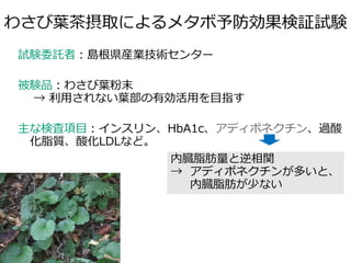 わさび葉茶摂取によるメタボ予防効果検証試験
試験委託者：島根県産業技術センター
被験品：わさび葉粉末
→ 利用されない葉部の有効活用を目指す
主な検査項目：インスリン、HbA1c、アディポネクチン、過酸
化脂質、酸化LDLなど。
内臓脂肪量と逆相関
→ アディポネクチンが多いと、
内臓脂肪が少ない
 