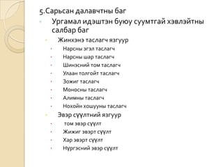 5.Сарьсан далавчтны баг
◦
Ургамал идэштэн буюу суумтгай хэвлэйтны
салбар баг
Жинхэнэ таслагч язгуур












Нарсны эгэл таслагч
Нарсны шар таслагч
Шинэсний том таслагч
Улаан толгойт таслагч
Зожиг таслагч
Моносны таслагч
Алимны таслагч
Нохойн хошууны таслагч

Эвэр сүүлтний язгуур







том эвэр сүүлт
Жижиг эвэрт сүүлт
Хар эвэрт сүүлт
Нүргэсний эвэр сүүлт

 