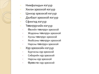 Нимфалидын язгуур
Хилэн эрвээхэй язгуур
Цэнхэр эрвээхэй язгуур
Далбаат эрвээхэй язгуур
Сфингид язгуур
Төөлүүрчийн язгуур















Өвлийн төөлүүрч эрвээхэй
Жодооны төөлүүрч эрвээхэй
Хусны төөлүүрч эрвээхэй
Якобсоны төөлүүрч эрвээхэй
Нарсны төөлүүрч эрвээхэй

Хүр эрвээхэйн язгуур







Бургасны хүр эрвээхэй
Сибирийн хүр эрвээхэй
Нарсны хүр эрвээхэй
Өрөөсгөл хүр эрвээхэй

 