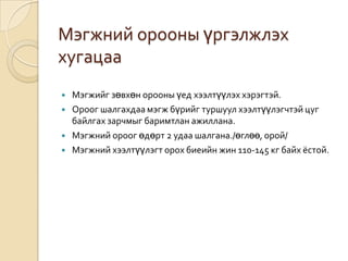Мэгжний орооны үргэлжлэх
хугацаа






Мэгжийг зөвхөн орооны үед хээлтүүлэх хэрэгтэй.
Ороог шалгахдаа мэгж бүрийг туршуул хээлтүүлэгчтэй цуг
байлгах зарчмыг баримтлан ажиллана.
Мэгжний ороог өдөрт 2 удаа шалгана./өглөө, орой/
Мэгжний хээлтүүлэгт орох биеийн жин 110-145 кг байх ёстой.

 