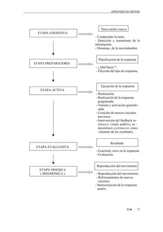 APRENDIZAJE MOTOR

Tarea motriz nueva
ETAPA COGNITIVA
- Comprender la tarea.
- Detección y tratamiento de la
información.
- Disminuc. de la incertidumbre.

Planificación de la respuesta
ETAPA PREPARATORIA
- ¿ Qué hacer ?.
- Elección del tipo de respuesta.

Ejecución de la respuesta
ETAPA ACTIVA
- Realización.
- Realización de la respuesta
programada.
- Tensión y activación generali zada.
- Creación de nuevos circuitos
nerviosos.
- Intervención del feedback intrínseco: visual, auditivo, so –
meostésico; extrínsecos: conocimiento de los resultados.

Resultado
ETAPA EVALUATIVA
- Exactitud, error en la respuesta.
- Evaluación.

Reproducción del movimiento
ETAPA MNESICA
( MNEMONICA )

- Reproducción del movimiento.
- Reforzamientos de nuevos
circuitos.
- Interiorización de la respuesta
motriz.

D3♥

12

 