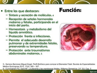 • Entre las que destacan:
– Síntesis y secreción de moléculas. 4
– Recepción de señales hormonales
materno y fetales, participando en el
inicio del parto.
– Homeostasis y metabolismo del
líquido amniótico.
– Protección frente a infecciones.
– Permite el adecuado desarrollo
pulmonar y de extremidades fetales,
preservando su temperatura.
– Protección ante traumatismos
abdominales maternos. 5

Función:

5.- Serrano Berrones Miguel Ángel. Perfil Biofísico para conocer el Bienestar Fetal. Revista de Especialidades
Médico Quirúrgicas 2012; 17(4): 300 – 307.
6.- Cunningham FG, Gant NF. La placenta y las membranas fetales. Williams Obstetricia. 21ª Ed. Cap. 5

 