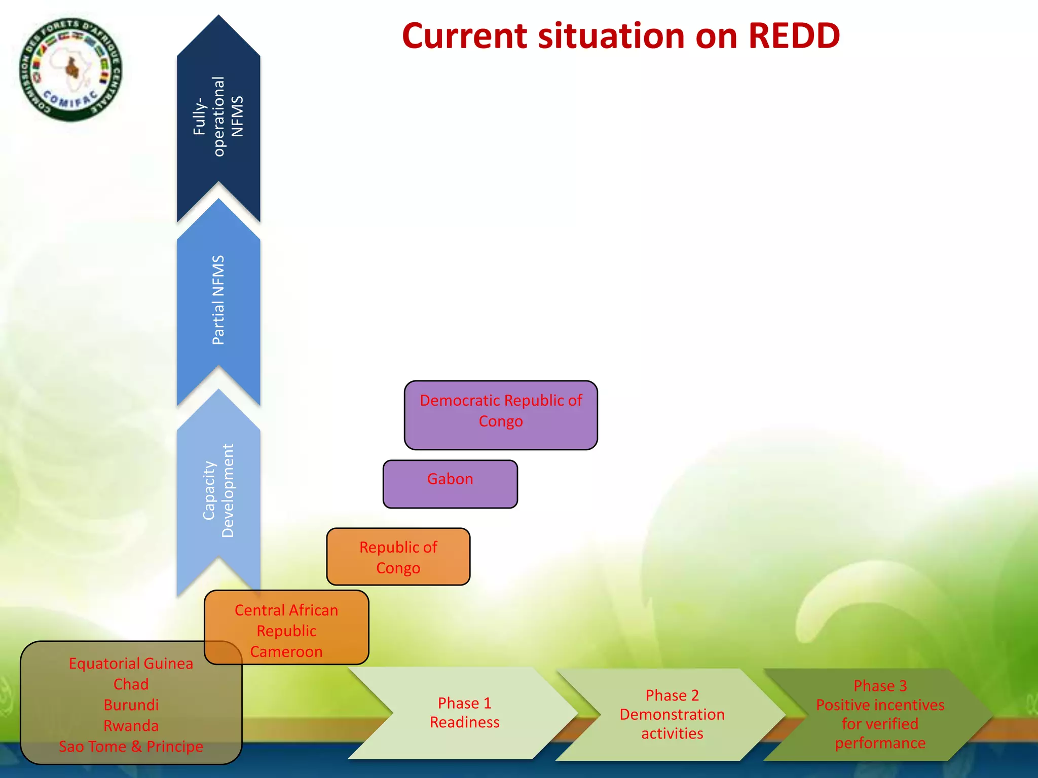 Partial NFMS

Fullyoperational
NFMS

Current situation on REDD

Capacity
Development

Democratic Republic of
Congo
Gabon

Republic of
Congo

Equatorial Guinea
Chad
Burundi
Rwanda
Sao Tome & Principe

Central African
Republic
Cameroon
Phase 1
Readiness

Phase 2
Demonstration
activities

Phase 3
Positive incentives
for verified
performance

 