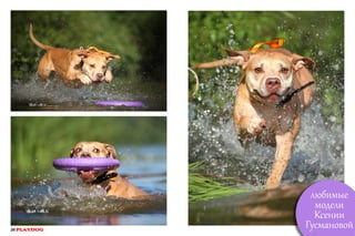 20 PLAYDOG

любимые
модели
Ксении
Гусмановой

 