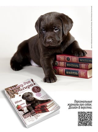 Персональные
журналы про собак.
Дизайн & верстка.

Щенок лабрадор ретривер Алькор Рос Багира. Фото Натальи Светличной

 