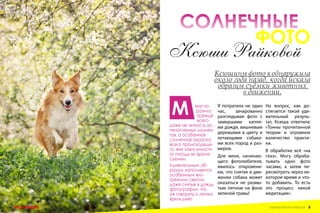 СОЛНЕЧНЫЕ
ФОТО

Ксюши Райковой
М

еня поразила
прежде
всего
даже не четкость запечатленных моментов, а особенная
солнечная окраска
всего происходящего, вне зависимости
от погоды во время
съемки.
Удивительным образом наполняются
особенным внутренним светом
даже снятые в дождь
фотографии, что
уж говорить о летних
ярких днях!
4 PLAYDOG

Ксюшины фото я обнаружила
около года назад, когда искала
образцы съёмки животных
в движении.
Я потратила не один
час,
зачарованно
разглядывая фото с
замершими каплями дождя, вишневым
деревьями в цвету и
летающими собаками всех пород и размеров.
Для меня, начинающего фотолюбителя,
явилось откровением, что снятая в движении собака может
оказаться не размытым пятном на фоне
зеленой травы!

На вопрос, как достигается такой удивительный результат, Ксюша ответила:
«Тонны прочитанной
теории и огромное
количество практики.
В обработке всё «на
глаз». Могу обрабатывать одно фото
часами, а затем пересмотреть через некоторое время и чтото добавить. То есть
это процесс некой
медитации».
СПЕЦИАЛЬНЫЙ ВЫПУСК ПРО ЛЕТАЮЩИХ СОБАК 5

 