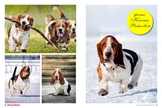 фото
Ксюши
Райковой

6 PLAYDOG

СПЕЦИАЛЬНЫЙ ВЫПУСК ПРО ЛЕТАЮЩИХ СОБАК 7

 