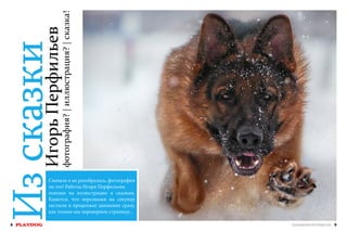 фотография? | иллюстрация? | сказка!

Игорь Перфильев

Из сказки

Сначала я не разобралась, фотография
ли это! Работы Игоря Перфильева
похожи на иллюстрации к сказкам.
Кажется, что персонажи на секунду
застыли и продолжат движение сразу,
как только мы перевернем страницу...

8 PLAYDOG

СПЕЦИАЛЬНЫЙ ВЫПУСК ПРО ЛЕТАЮЩИХ СОБАК 9

 
