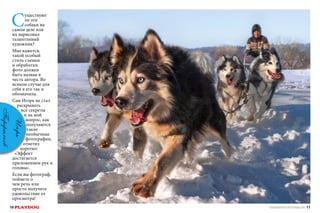 С

Игорь

Перфильев

уществуют
ли эти
собаки на
самом деле или
их нарисовал
талантливый
художник?
Мне кажется,
такой особый
стиль съемки
и обработки
фото должен
быть назван в
честь автора. Во
всяком случае для
себя я его так и
обозначила.
Сам Игорь не стал
раскрывать
все секреты
и на мой
вопрос, как
получаются
такие
необычные
фотографии,
ответил
коротко:
«Эффект
достигается
приложением рук и
головы».
Если вы фотограф,
поймете о
чем речь или
просто получите
удовольствие от
просмотра!

10 PLAYDOG

СПЕЦИАЛЬНЫЙ ВЫПУСК ПРО ЛЕТАЮЩИХ СОБАК 11

 