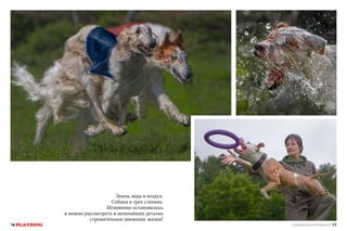 16 PLAYDOG

Земля, вода и воздух.
Собаки в трех стихиях.
Мгновение остановилось
и можно рассмотреть в мельчайших деталях
стремительное движение жизни!

СПЕЦИАЛЬНЫЙ ВЫПУСК ПРО ЛЕТАЮЩИХ СОБАК 17

 