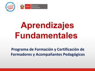 Aprendizajes
Fundamentales
Programa de Formación y Certificación de
Formadores y Acompañantes Pedagógicos

 