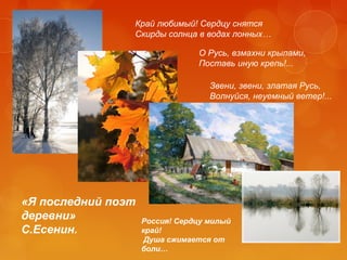 Край любимый! Сердцу снятся
Скирды солнца в водах лонных…
О Русь, взмахни крылами,
Поставь иную крепь!...
Звени, звени, златая Русь,
Волнуйся, неуемный ветер!...

«Я последний поэт
деревни»
С.Есенин.

Россия! Сердцу милый
край!
Душа сжимается от
боли…

 