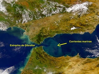 Corrientes marinas
Estrecho de Gibraltar

 