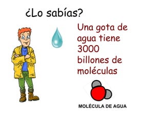¿Lo sabías?
Una gota de
agua tiene
3000
billones de
moléculas

MOLÉCULA DE AGUA

 
