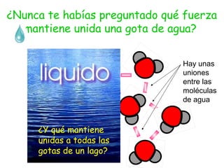 ¿Nunca te habías preguntado qué fuerza
mantiene unida una gota de agua?
Hay unas
uniones
entre las
moléculas
de agua

¿Y qué mantiene
unidas a todas las
gotas de un lago?

 