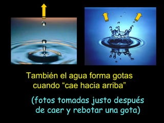 También el agua forma gotas
cuando “cae hacia arriba”
(fotos tomadas justo después
de caer y rebotar una gota)

 