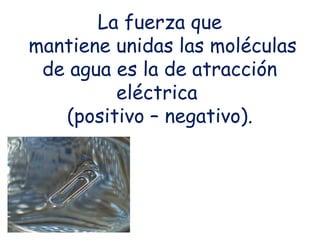 La fuerza que
mantiene unidas las moléculas de
agua es la de atracción eléctrica
(positivo – negativo) y se llama
fuerza de cohesión.

 